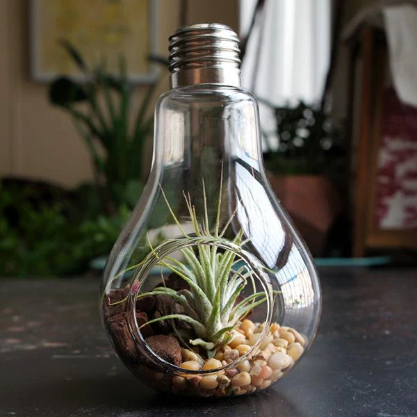 Light Bulb Hanging Vase - Image 3