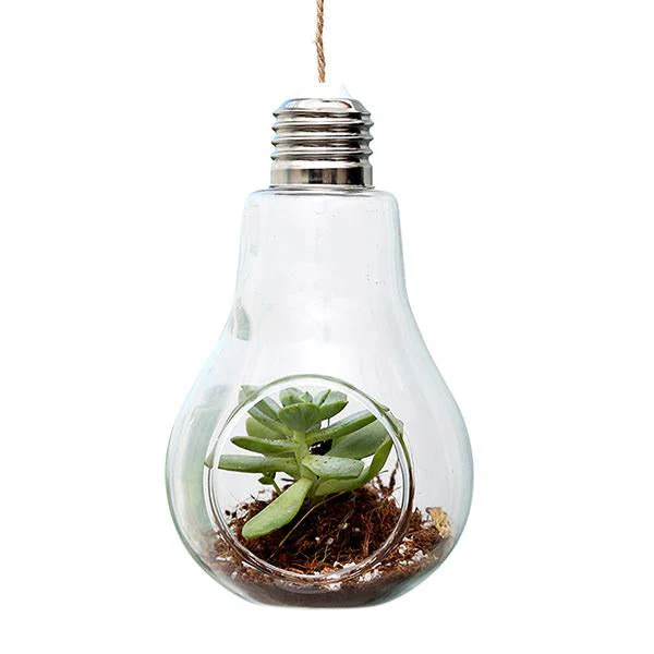 Light Bulb Hanging Vase - Image 4